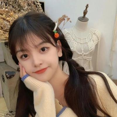 情系洛川红苹果